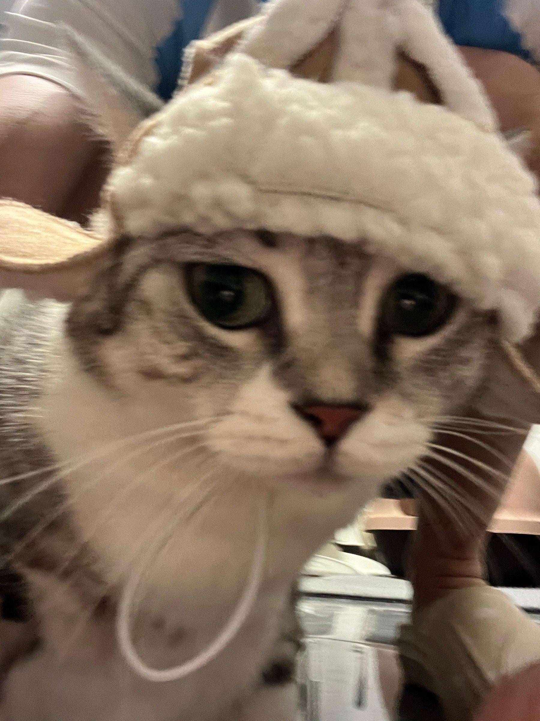 Sombrero de aviador peludo con forma de gato