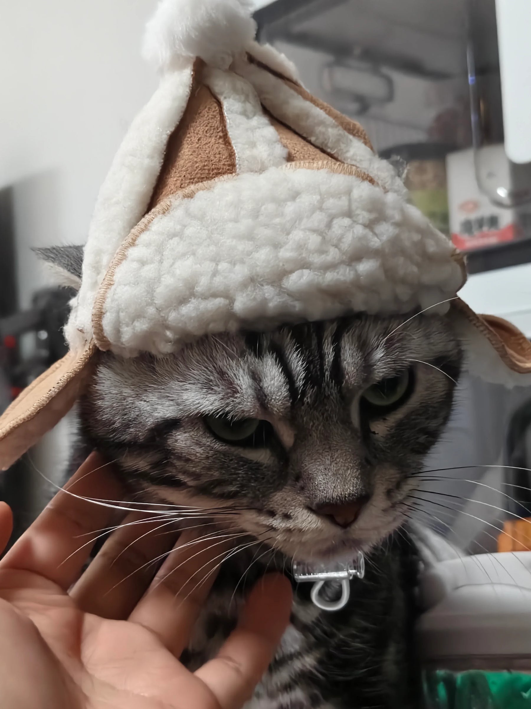 Sombrero de aviador peludo con forma de gato