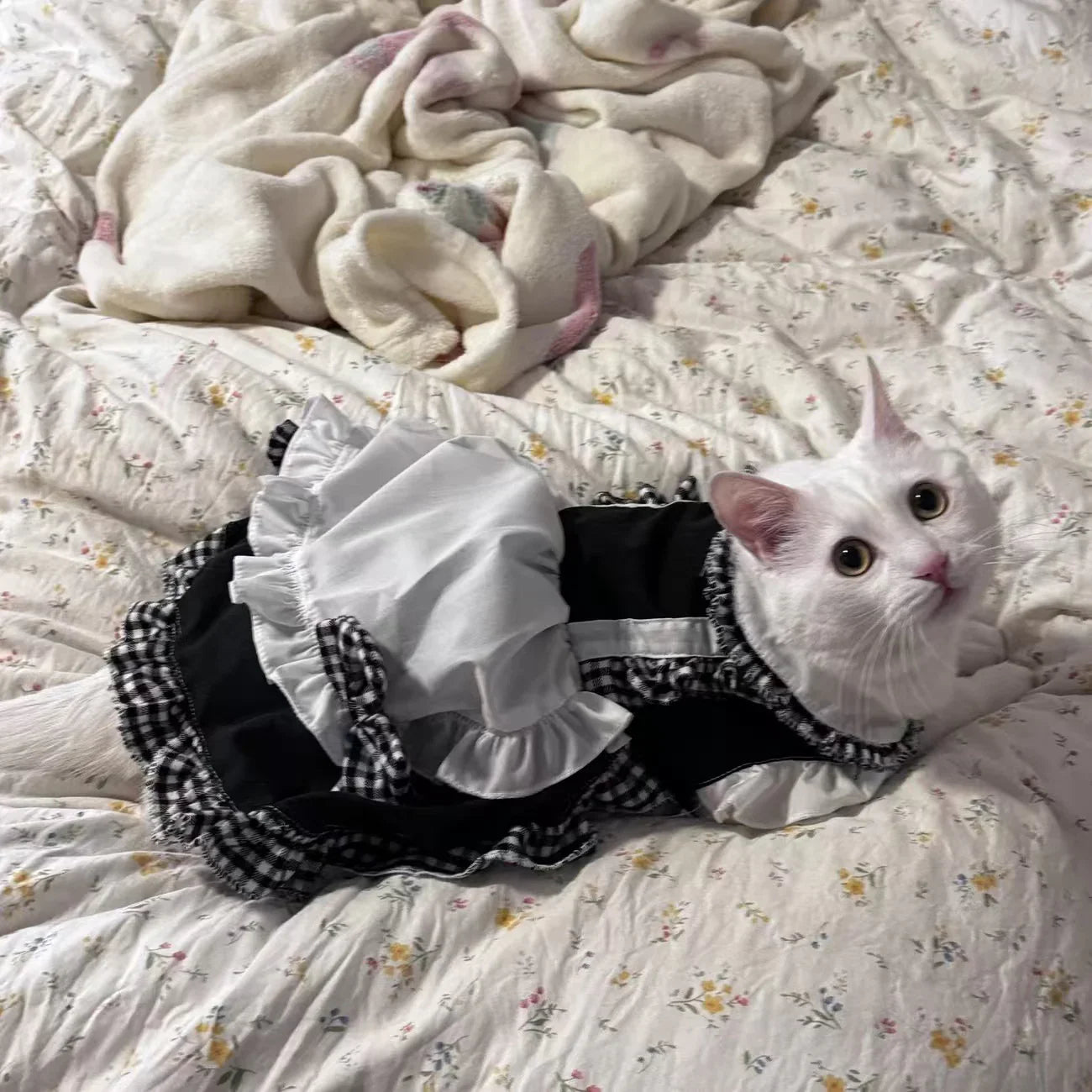 Disfraz de mucama felina