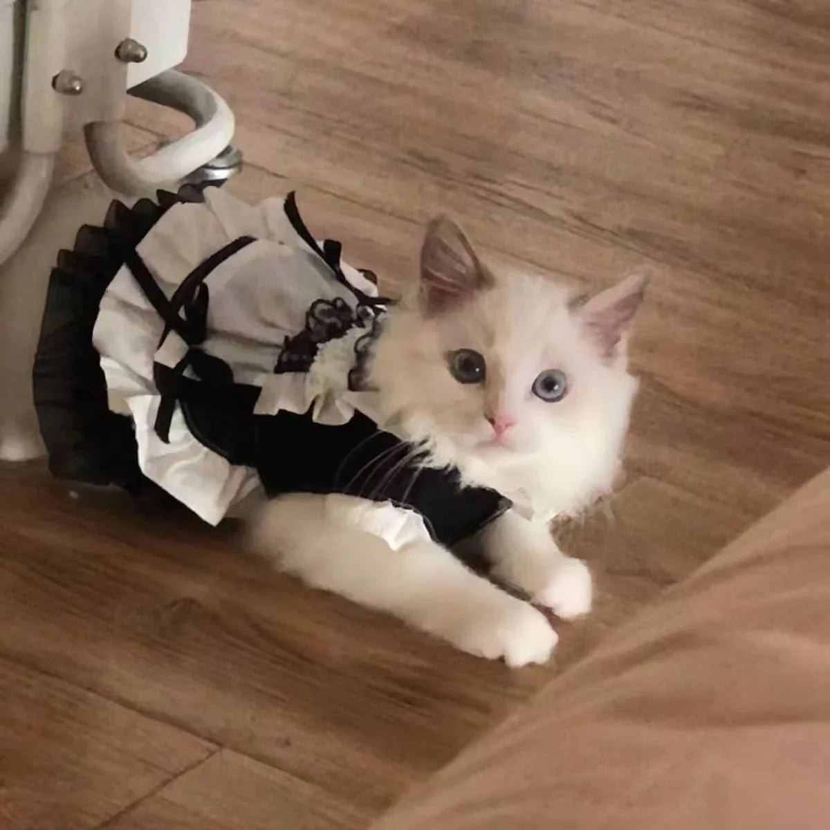 Disfraz de mucama felina