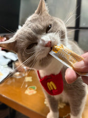 Set de gatos con temática de comida rápida