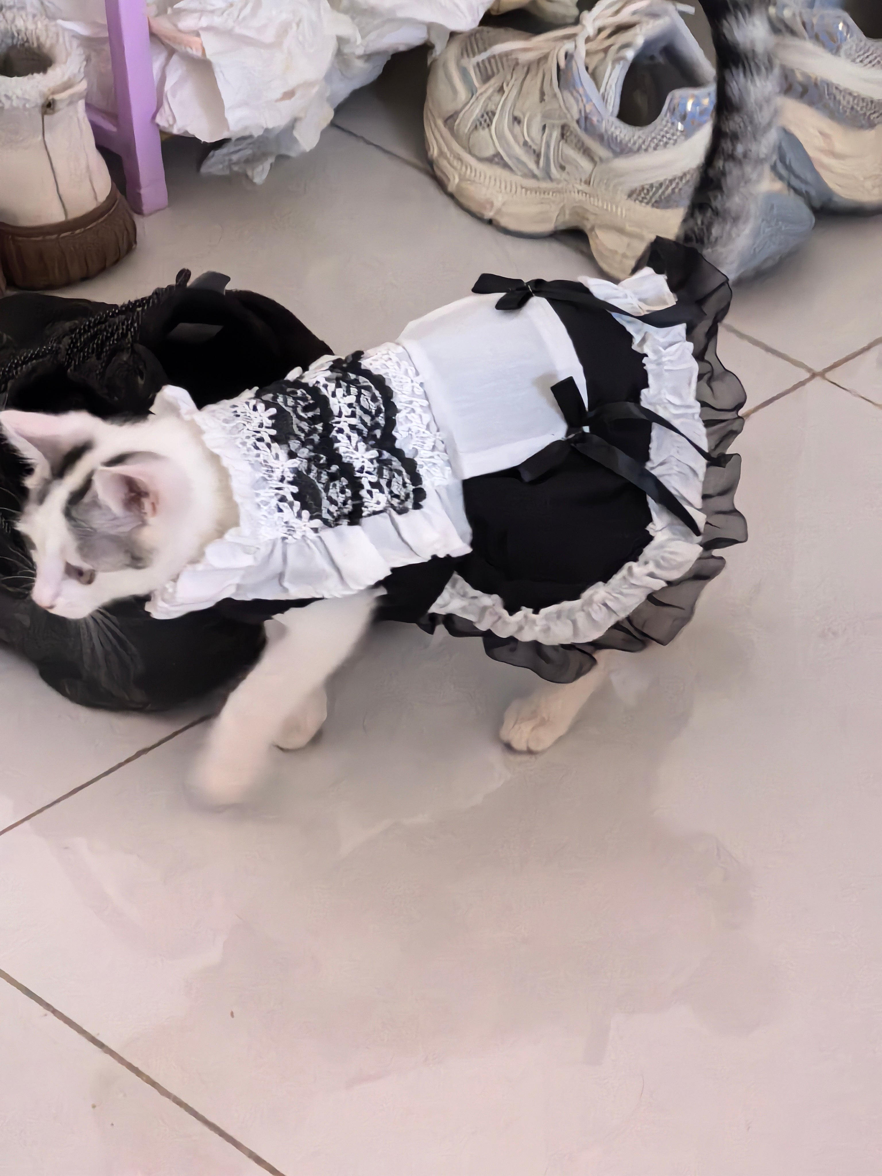 Feline Maid Costume