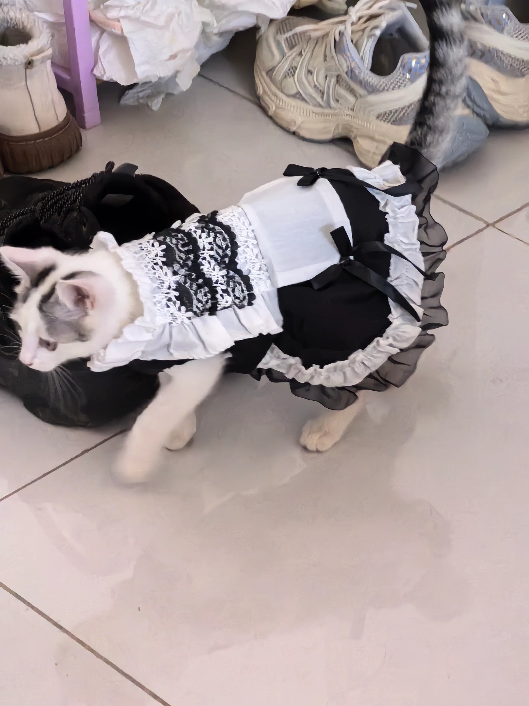 Disfraz de mucama felina