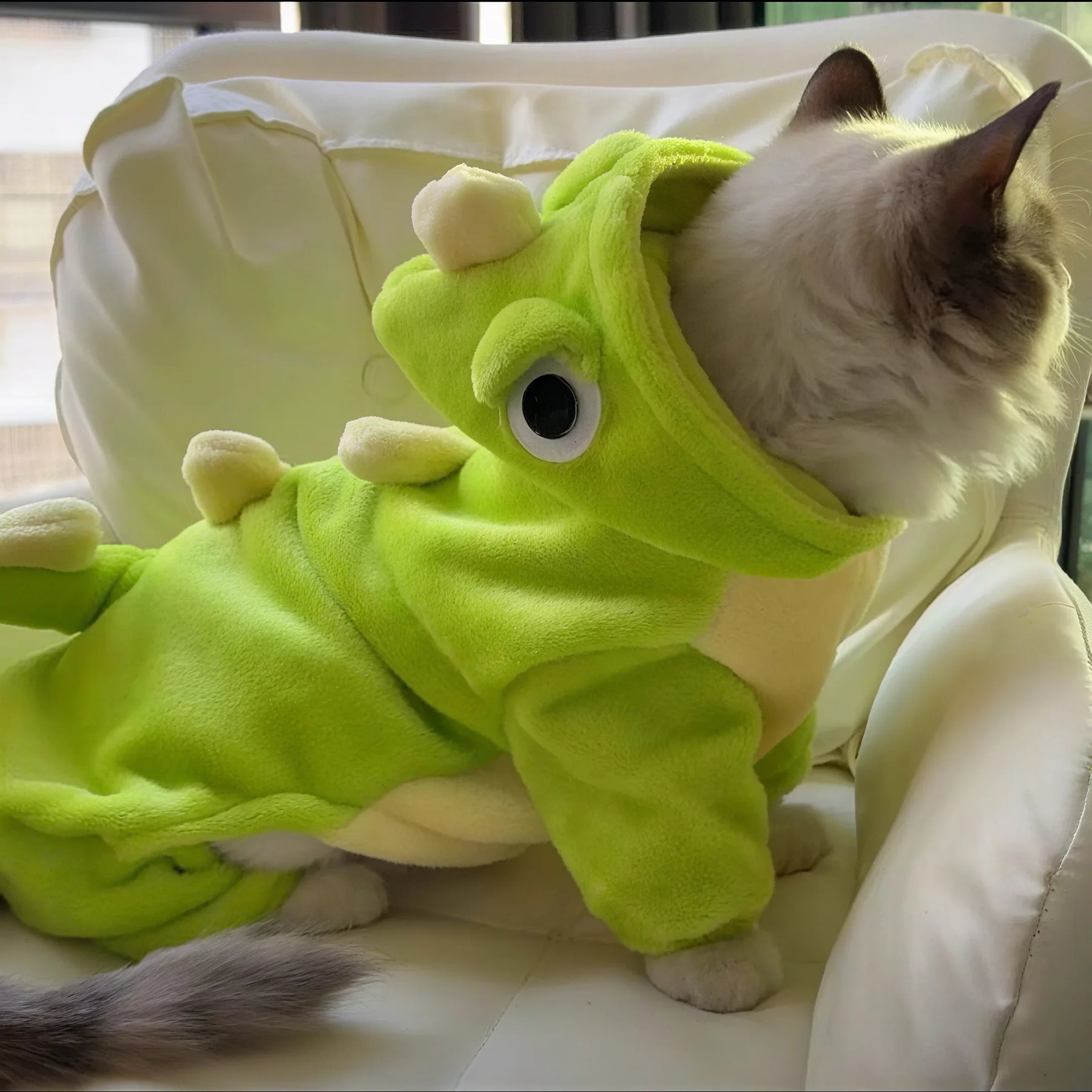 Dino - Katzen-Abenteueranzug