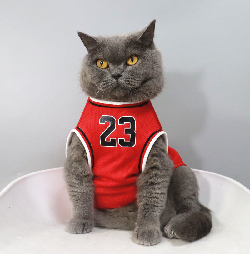 Basketball Jersey with Number 23