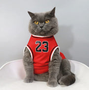Basketball Jersey with Number 23