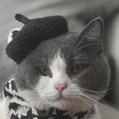 Artist Beret & Plaid Scarf Set