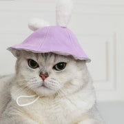 Lindo sombrero de conejo y gato
