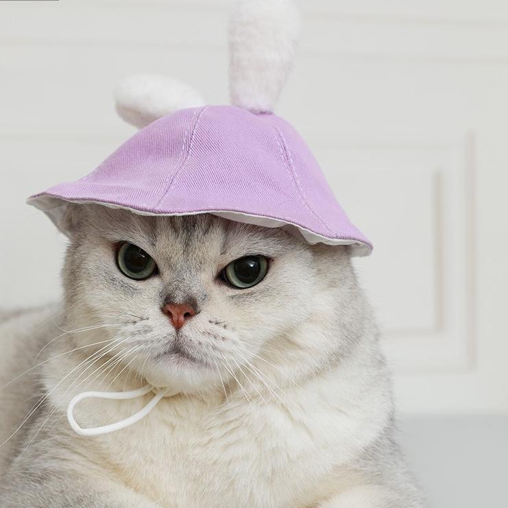 Lindo sombrero de conejo y gato