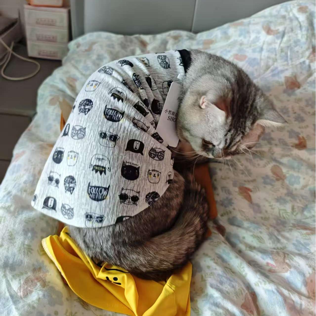 Cat Fun-Print Vest