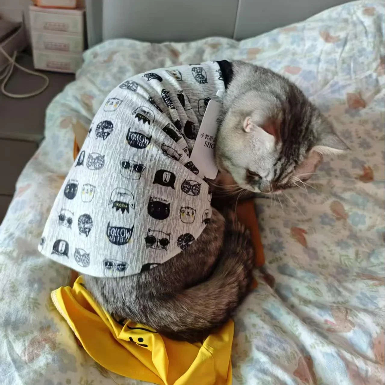 Weste mit lustigem Katzenmuster
