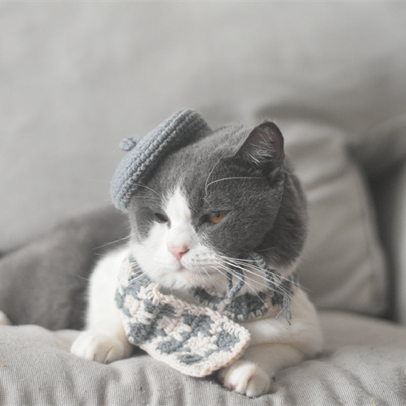 Artist Beret & Plaid Scarf Set
