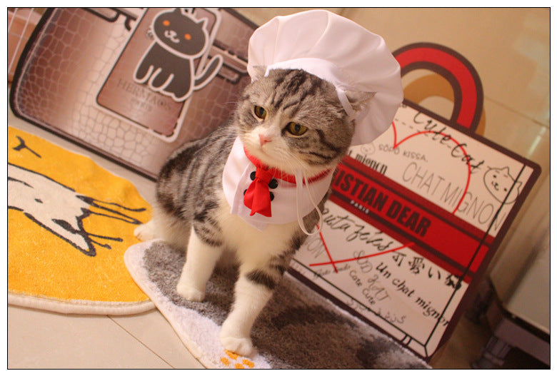 Chef Kitty Costume Set
