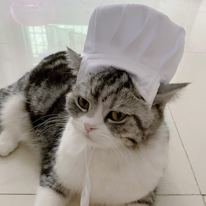 Chef Kitty Costume Set