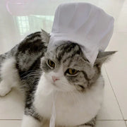 Koch-Kitty-Kostümset