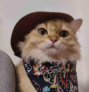 Katzen-Cowboy-Set