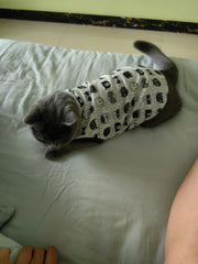 Weste mit lustigem Katzenmuster