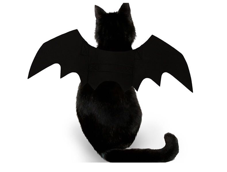 Bat Wing Cat Costume