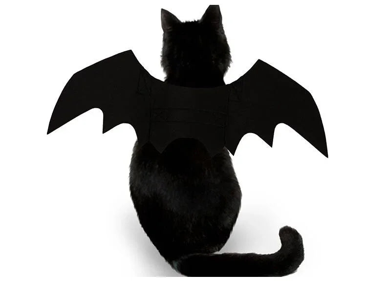 Fledermausflügel-Katzenkostüm