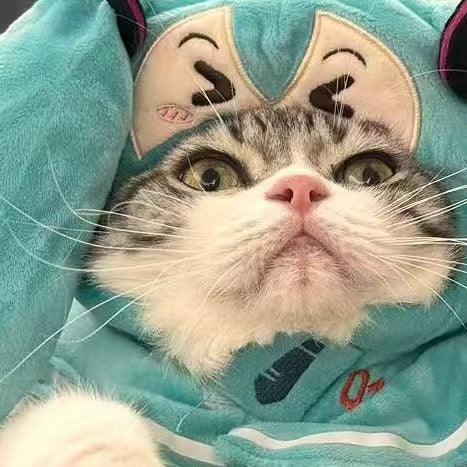 Chal de Hatsune Miku