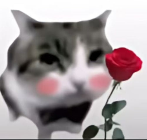 Acathat cat or product image