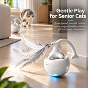 Fish Bone Slow-Roll Ball Cat Toy for Older Cats