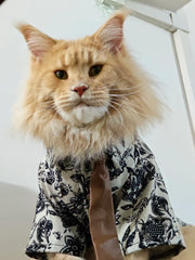 Traje de gato para novio bajista