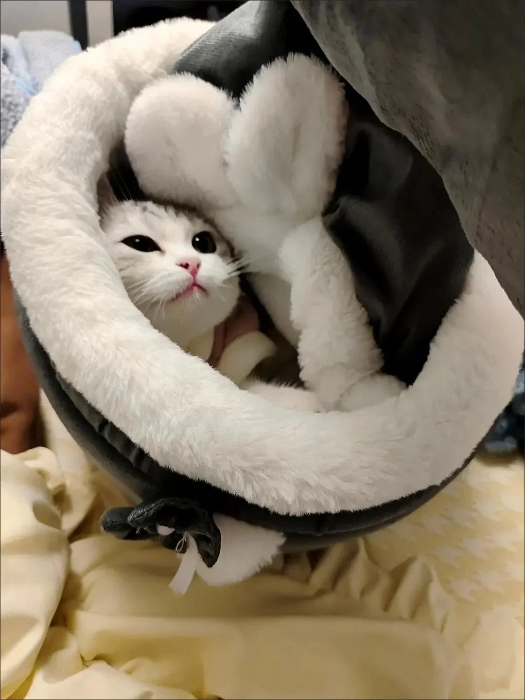 Rabbit Ear Shaped Cat Outdoor Backpack