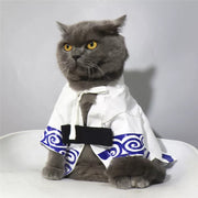 Costume de chat Gintoki – Kimono animal Shiroyasha de Gintama