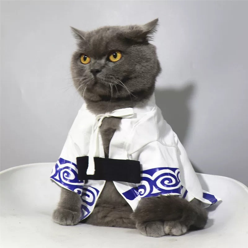 Costume de chat Gintoki – Kimono animal Shiroyasha de Gintama