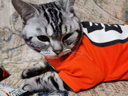 Goku Katzenkostüm – Dragon Ball Haustier-Cosplay-T-Shirt