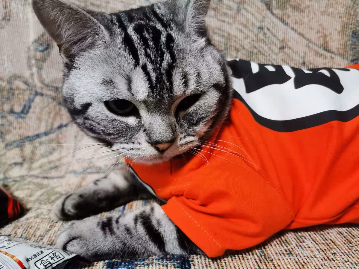 Goku Katzenkostüm – Dragon Ball Haustier-Cosplay-T-Shirt