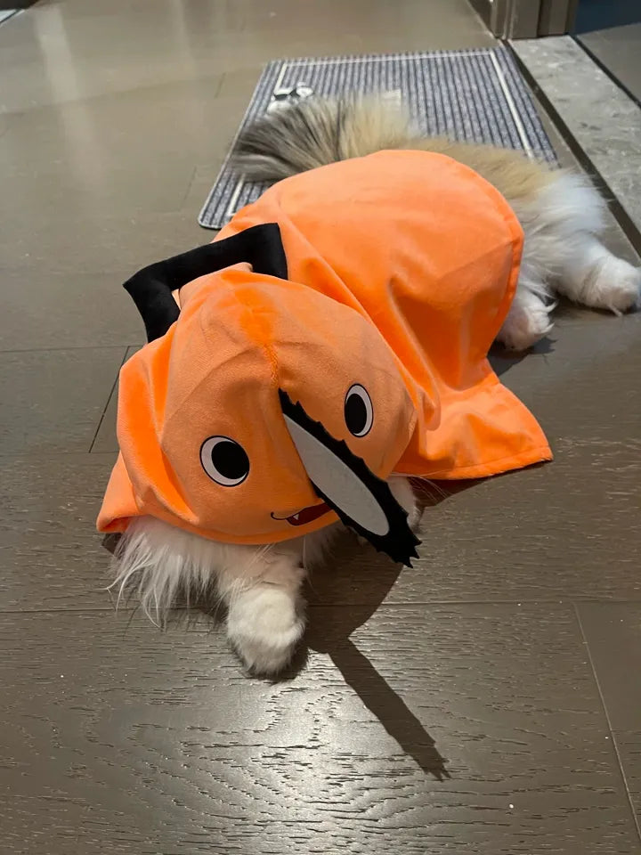 Costume de chat Pochita – Cape cosplay animal de Chainsaw Man