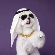 Luxury Boss Pet Costume Set – Headscarf, Sunglasses & Chain