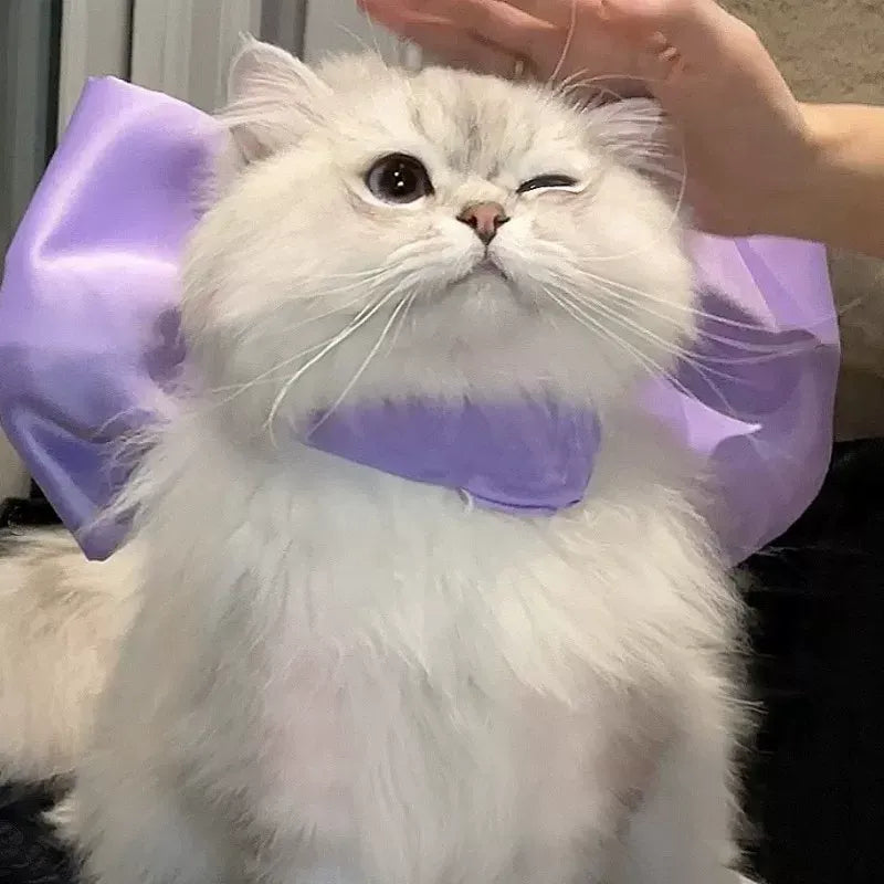 Tom und Jerry Weiße Katze Schleifen-Halsband – Haustier-Cosplay-Accessoire