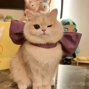 Tom und Jerry Weiße Katze Schleifen-Halsband – Haustier-Cosplay-Accessoire