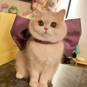 Tom und Jerry Weiße Katze Schleifen-Halsband – Haustier-Cosplay-Accessoire