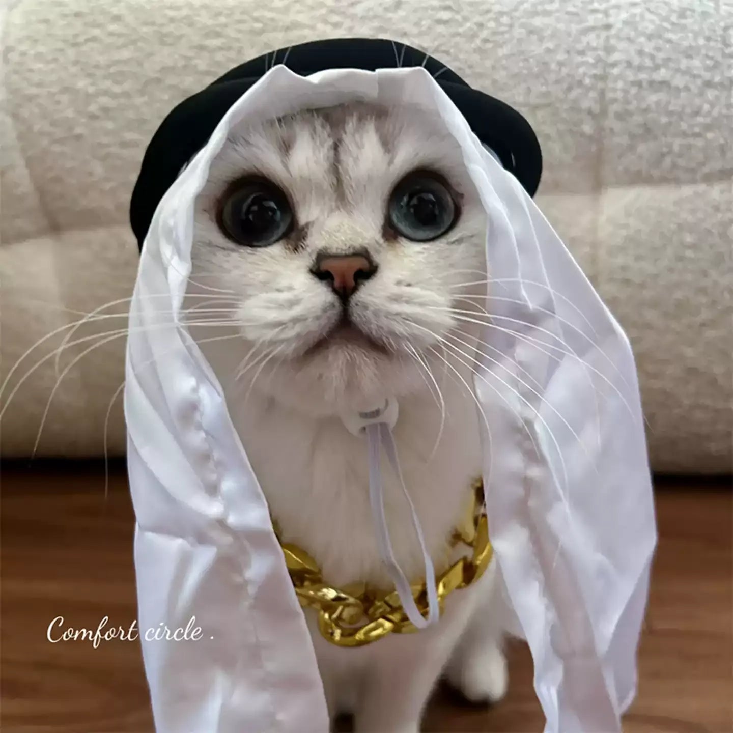 Luxury Boss Pet Costume Set – Headscarf, Sunglasses & Chain