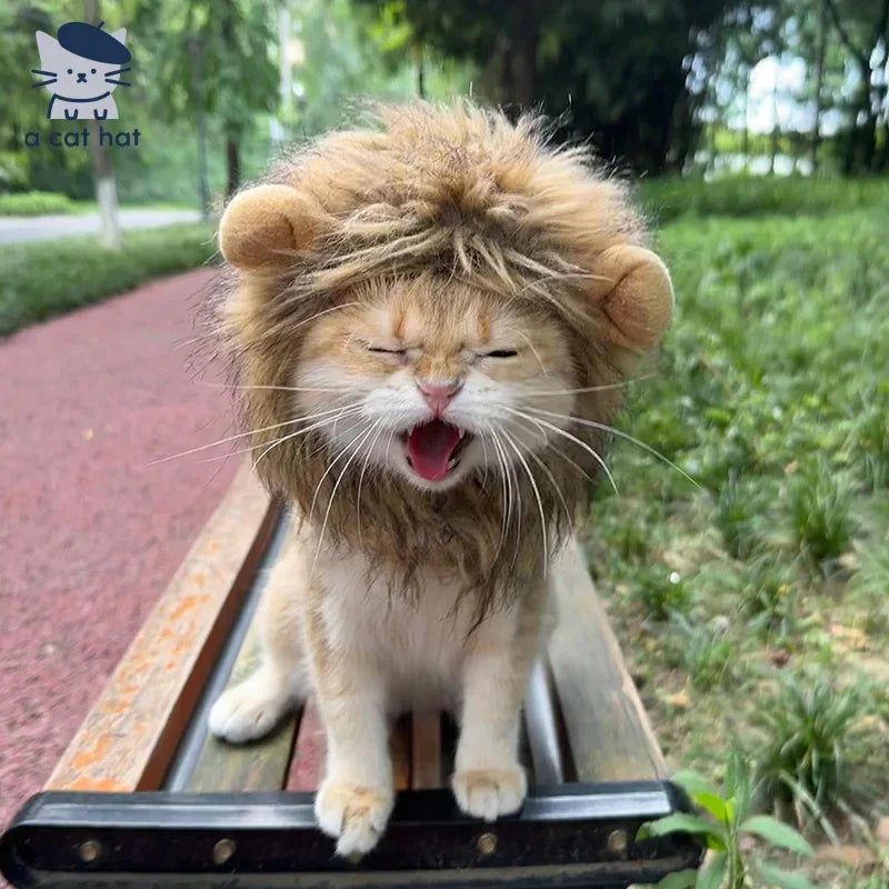 Lion Headgear