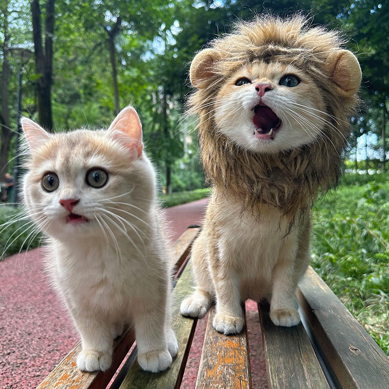 Lion Headgear