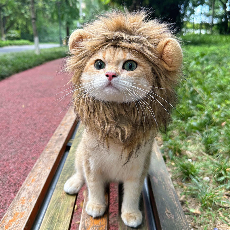 Lion Headgear