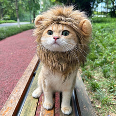 Lion Headgear