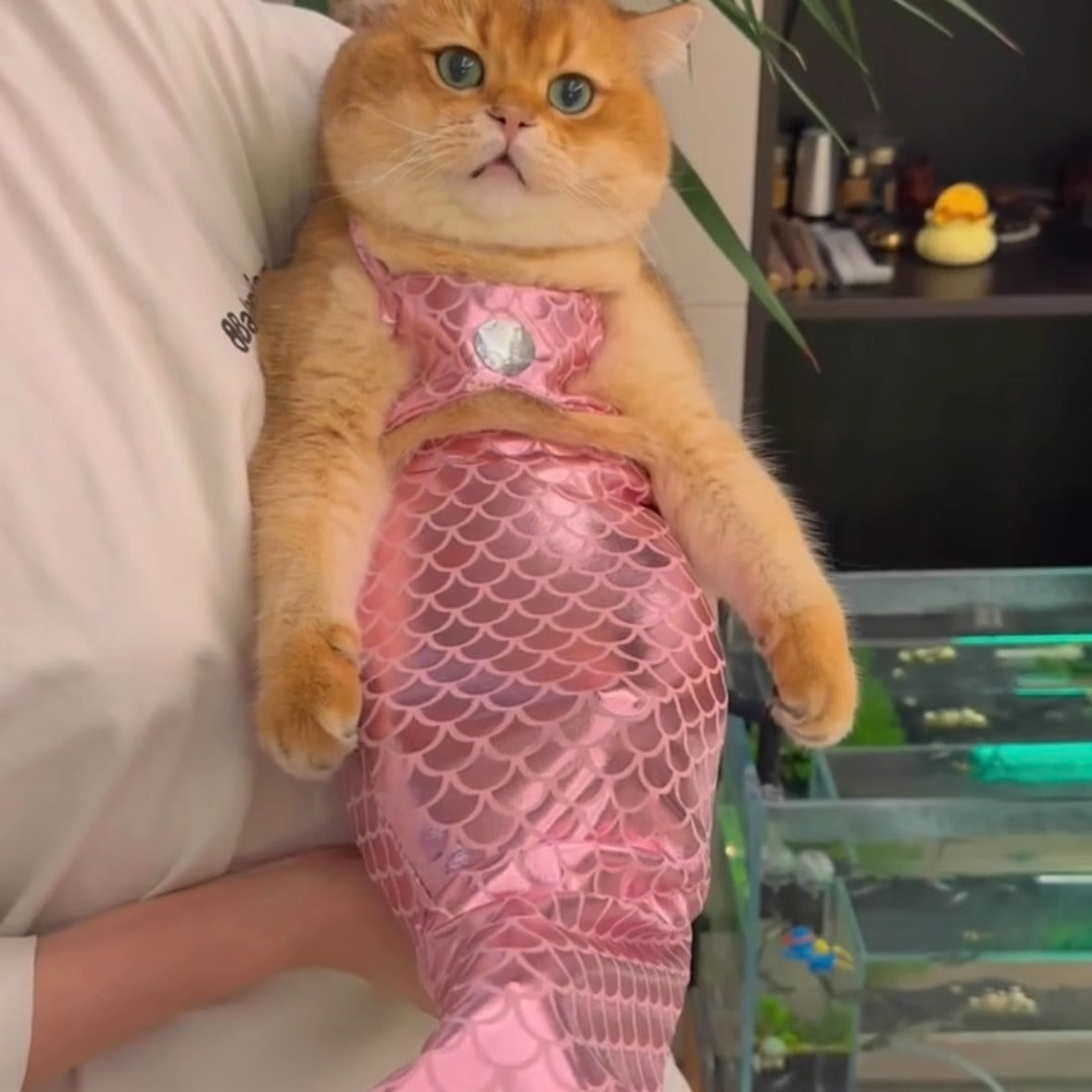 Pink Mermaid Cat Costume