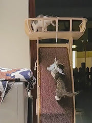 Wall-Mounted Cat Climbing Lookout Tower