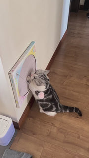 Record Player Cat Scratcher