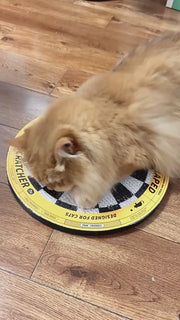 Dartscheibe - Katzenkratzbrett in Form einer Dartscheibe 