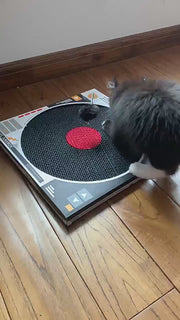 Record Player Cat Scratcher