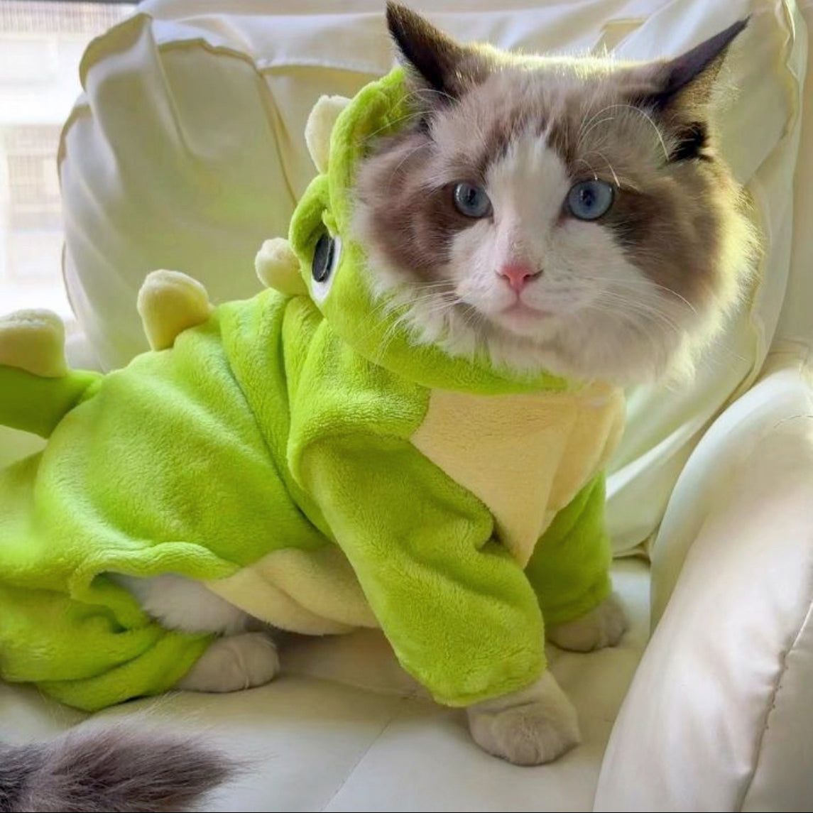 Dino - Cat Adventure Suit