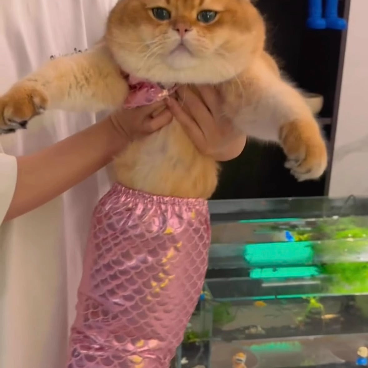 Pink Mermaid Cat Costume